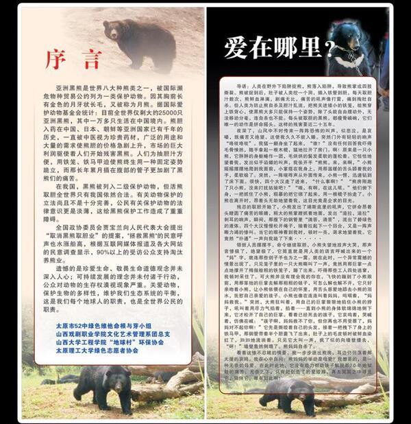 保護(hù)黑熊展架圖片