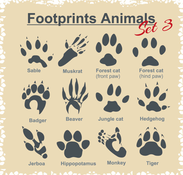 各种动物脚印设计矢量图素材