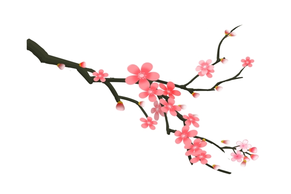 春季绽放的樱花插画