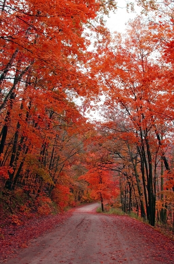 秋季美景图片