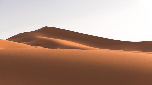 金色沙丘沙漠