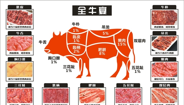 牛身体结构剖面图