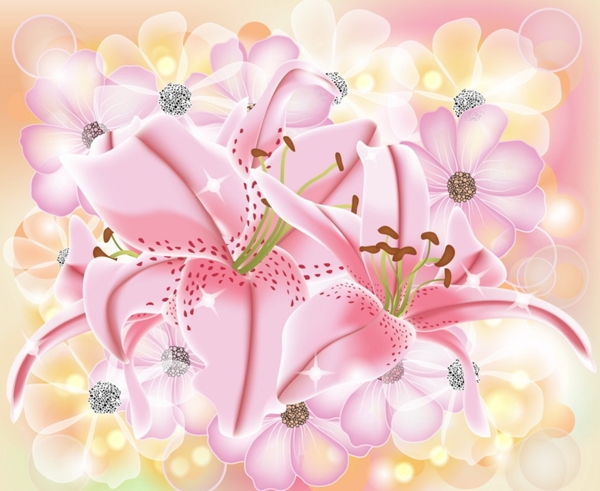 百合花圖片