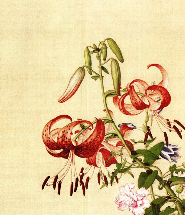位圖插畫植物插畫藝術效果手繪免費素材