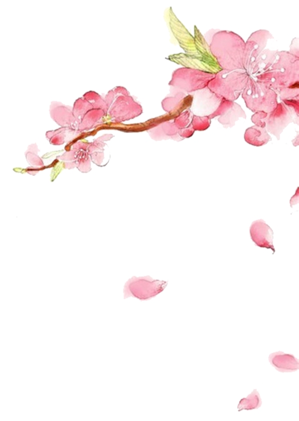 唯美插畫手繪花元素