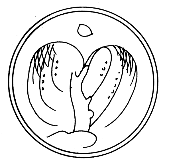 裝飾圖案元明時(shí)代圖案中國傳統(tǒng)圖案112