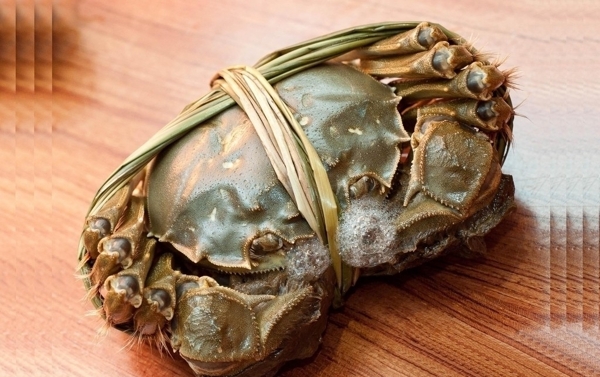 大閘蟹圖片