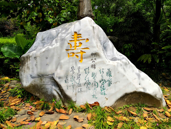 寿文化景观石