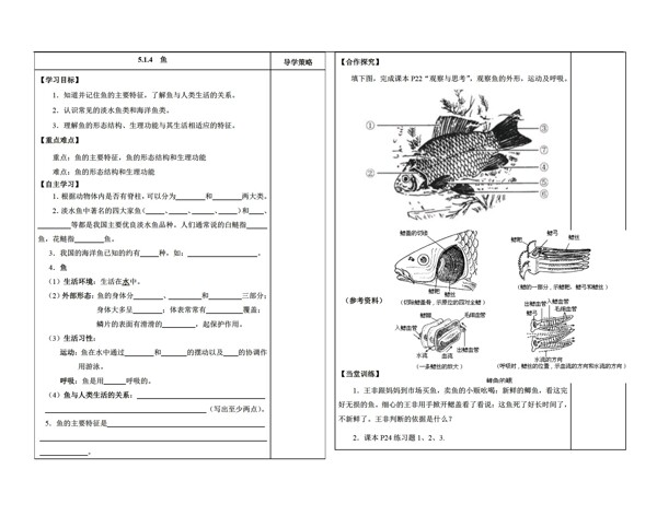 八年級(jí)上冊(cè)生物第四節(jié)魚(yú)導(dǎo)學(xué)案