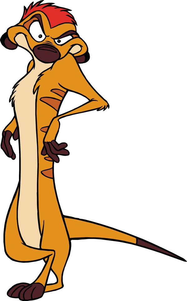 獅子王timon004