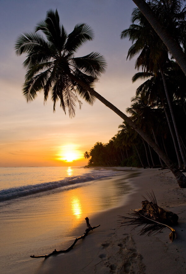 海滩日落风景图片