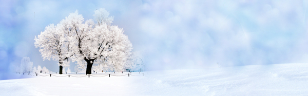 電商服飾冬季唯美背景banner