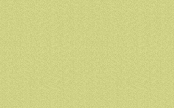 紋理背景124