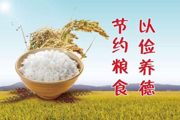 節(jié)約糧食