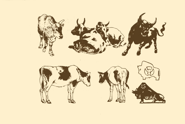 動(dòng)物圖案牛圖片