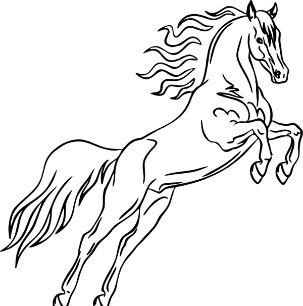 奔馬