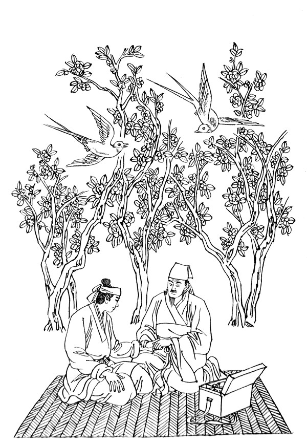 杏林春燕