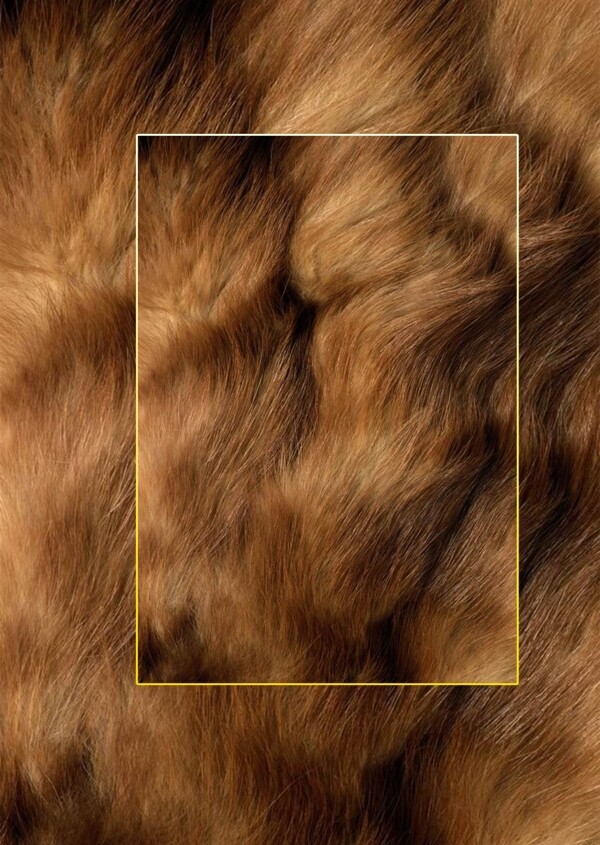 高清动物毛发背景JPG图片
