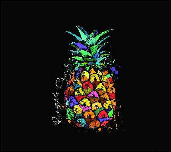 个性菠萝插画图片