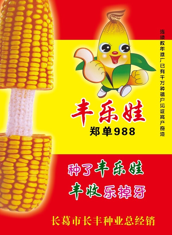 玉米種子圖片