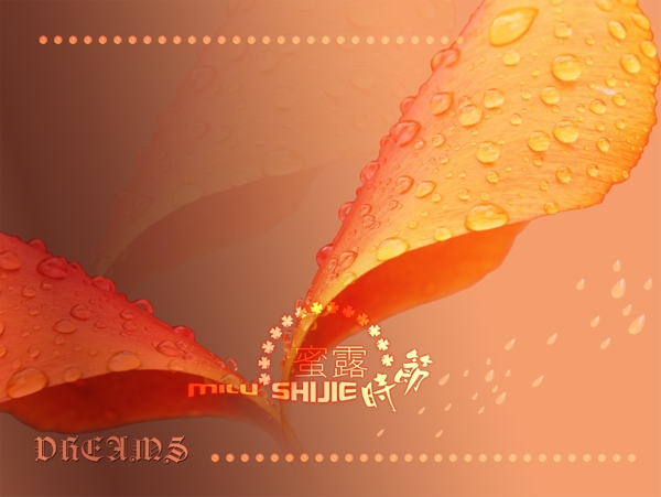 露珠時(shí)節(jié)圖片