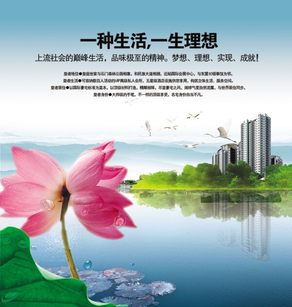 房地產(chǎn)荷花水鄉(xiāng)圖片