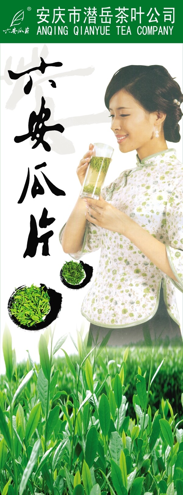 六安瓜片海報(bào)圖片