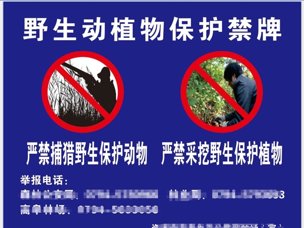 野生动植物保护禁牌