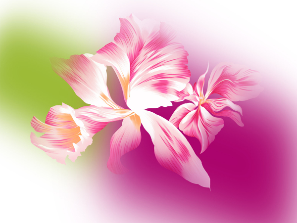 手繪花卉