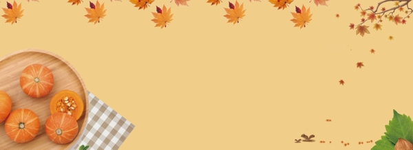 秋天立秋落葉南瓜時尚banner背景