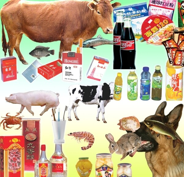 動物副食品圖片