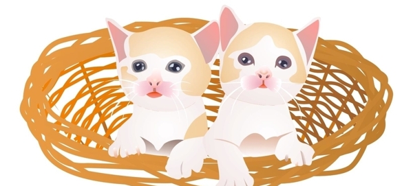 竹篮中两只小奶猫