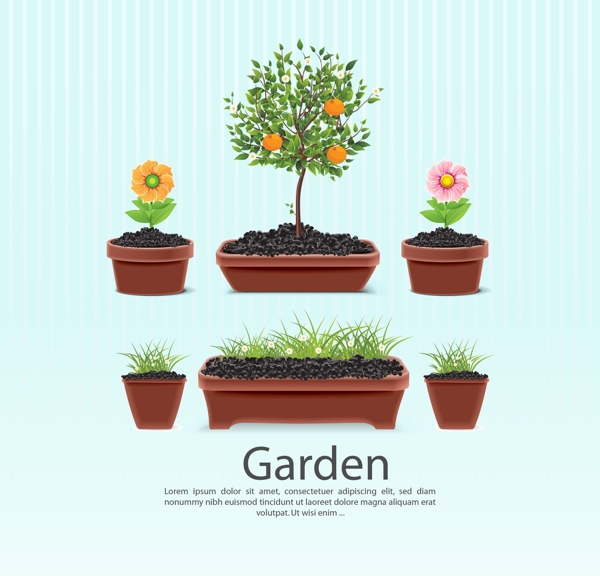 花盆花園模板藥材