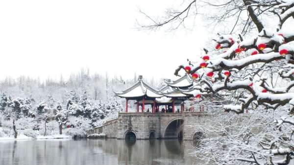 扬州五亭桥雪景