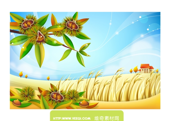 豐收的季節(jié)