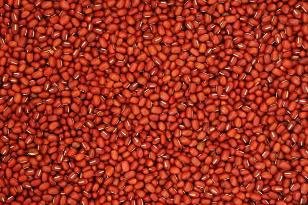 棕豆红豆图案质地自然图片