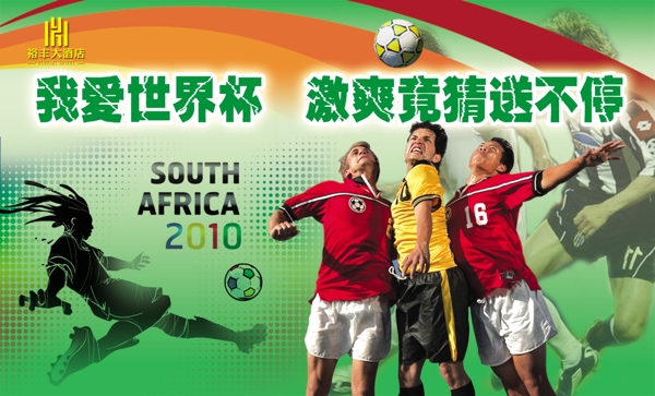 2010南非世界杯圖片