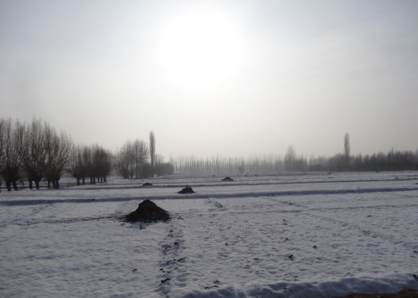雪景圖片