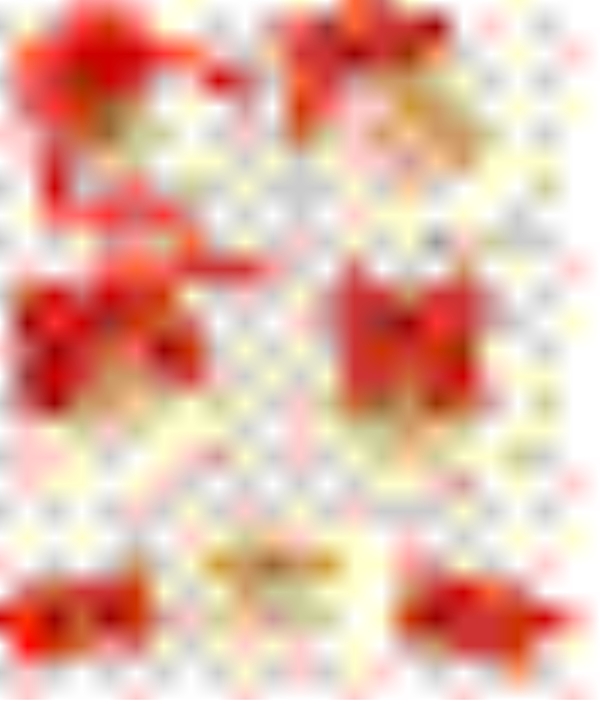 花結(jié)便簽圖片