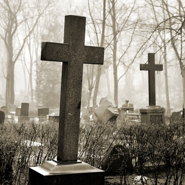 墓地里的十字架图片