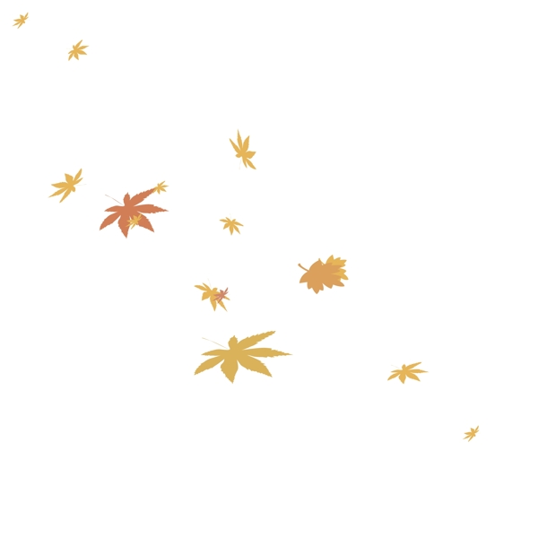 秋天落叶枫叶黄色
