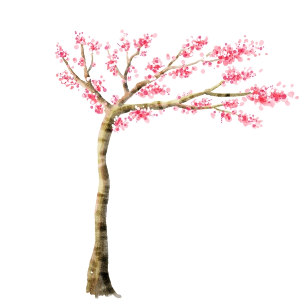 大樹