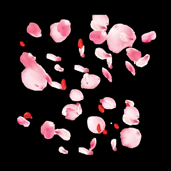 清新风浅粉色花瓣樱花装饰元素