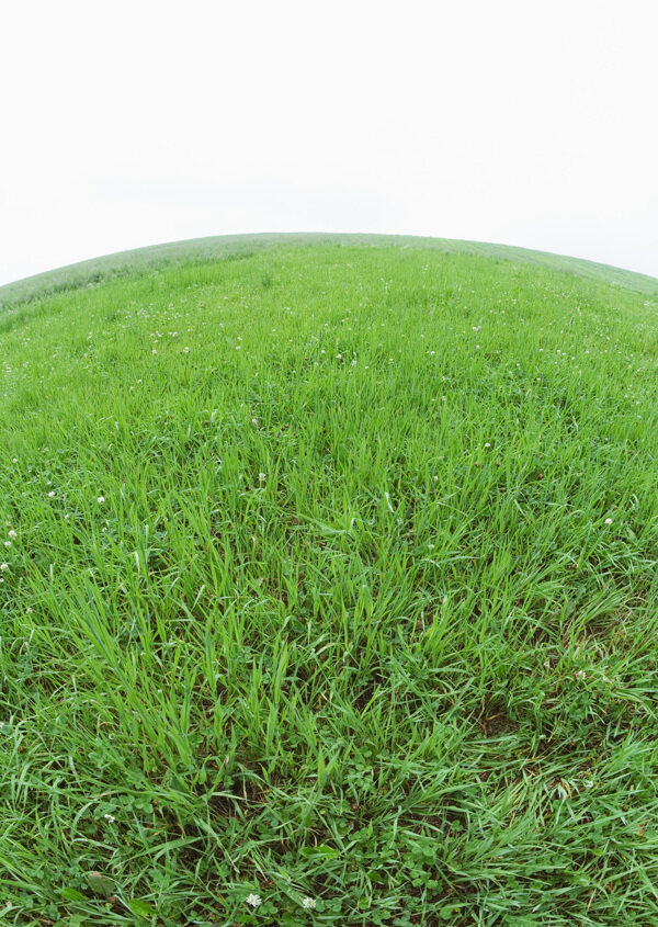 地球形状的草地背景图片