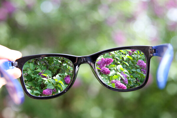 眼镜后面的清晰花朵图片