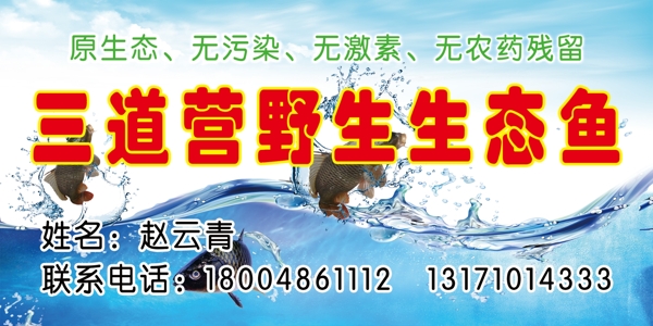 魚