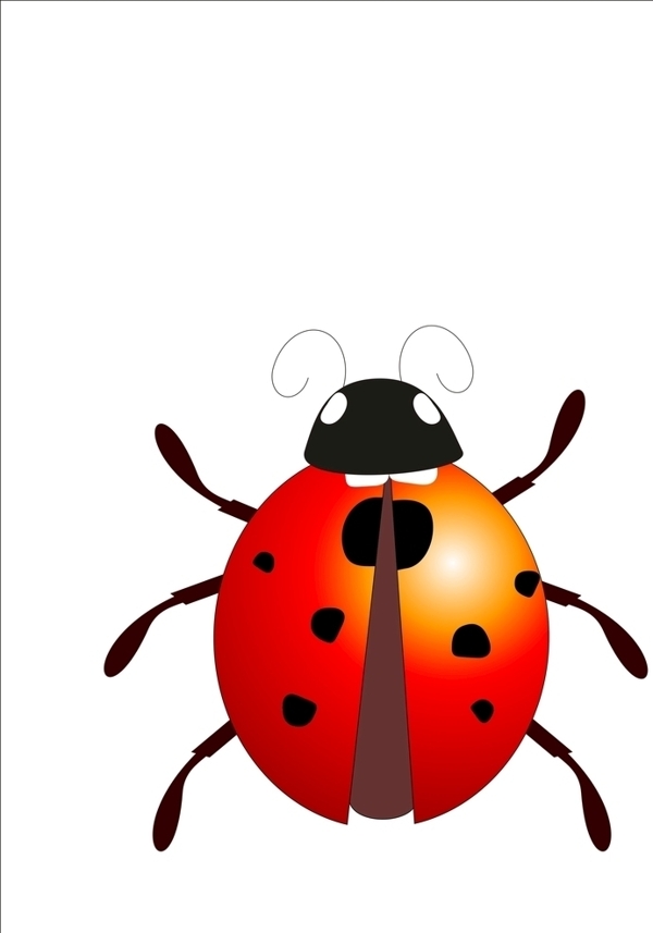 立体瓢虫甲壳虫昆虫红色灰色矢量