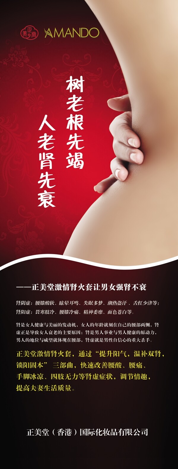 腎火套展架圖片