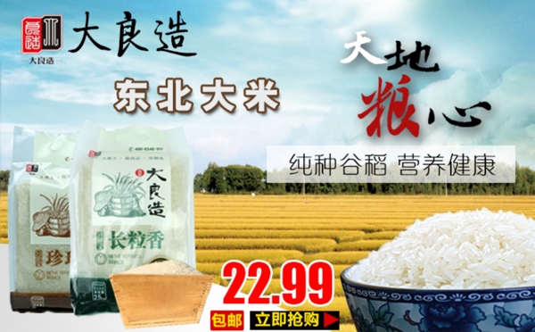 大米