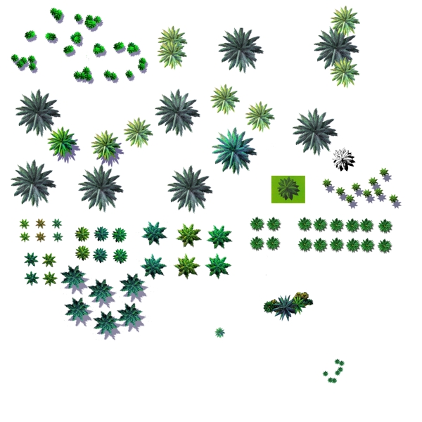 植物平面图素材乔木9